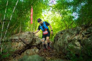 BIB: 2002
                            <button type="button" onclick="openModal(22087627)" class="btn btn-primary btn-sm float-right btn-popup" data-toggle="modal" data-target=".modal-high-quality">
                        <i class="fas fa-shopping-cart"></i> Add to Cart
                    </button>
                                            <button type="button" onclick="isThisMe(22087627, true)" class="btn btn-success btn-sm float-right btn-popup btn-isme hidden" data-toggle="tooltip" data-placement="bottom" title="นี่คือรูปของคุณใช่ไหม คลิกที่นี่เพื่อเอาเข้าอัลบั้ม">
                        <i class="fas fa-plus"></i> Add to album
                    </button>
                    <button type="button" onclick="isThisMe(22087627, false)" class="btn btn-warning btn-sm float-right btn-popup btn-isnotme hidden">
                        <i class="fas fa-ban"></i> Remove from album
                    </button>